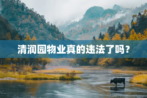清润园物业真的违法了吗？