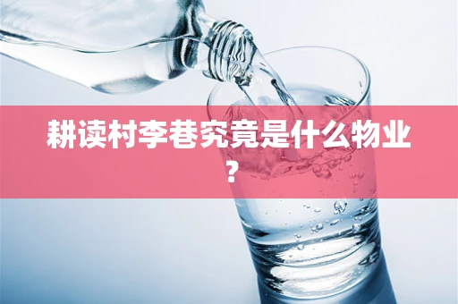 耕读村李巷究竟是什么物业？