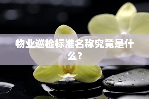 物业巡检标准名称究竟是什么？