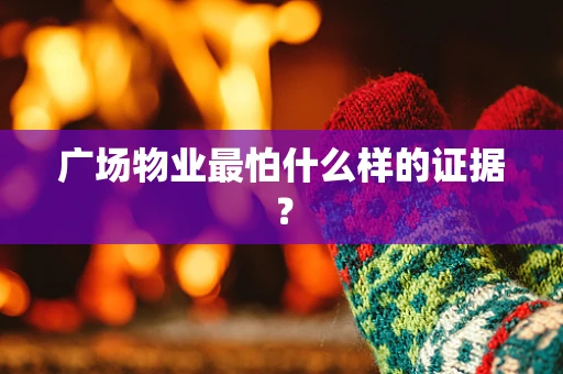 广场物业最怕什么样的证据？