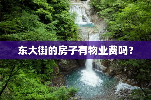 东大街的房子有物业费吗？