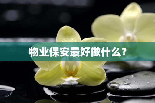 物业保安最好做什么？