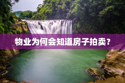 物业为何会知道房子拍卖？