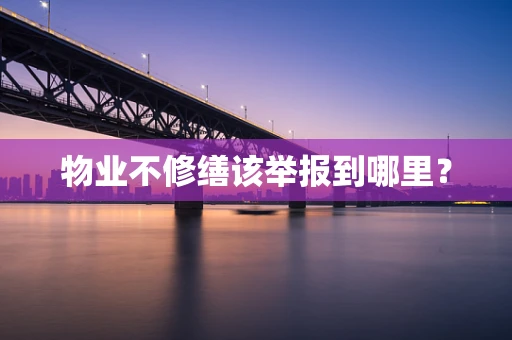 物业不修缮该举报到哪里？