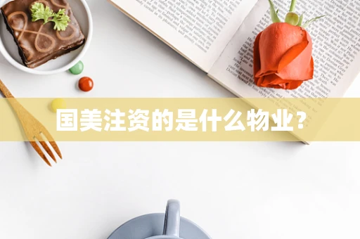 国美注资的是什么物业？