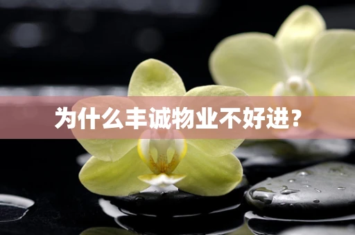 为什么丰诚物业不好进？