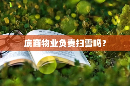 底商物业负责扫雪吗？