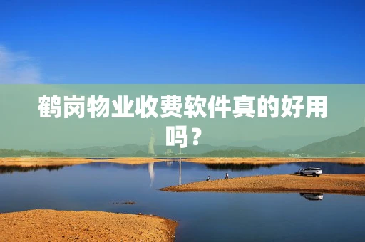 鹤岗物业收费软件真的好用吗？