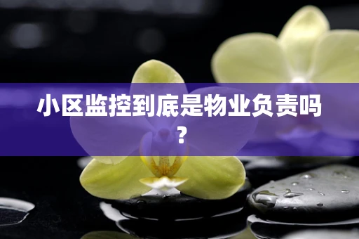 小区监控到底是物业负责吗？