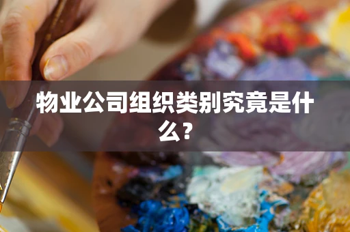 物业公司组织类别究竟是什么？