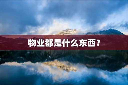物业都是什么东西？