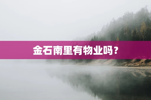 金石南里有物业吗？