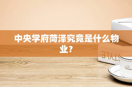 中央学府菏泽究竟是什么物业？
