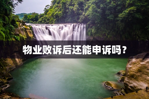 物业败诉后还能申诉吗？