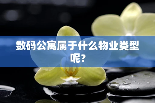 数码公寓属于什么物业类型呢？