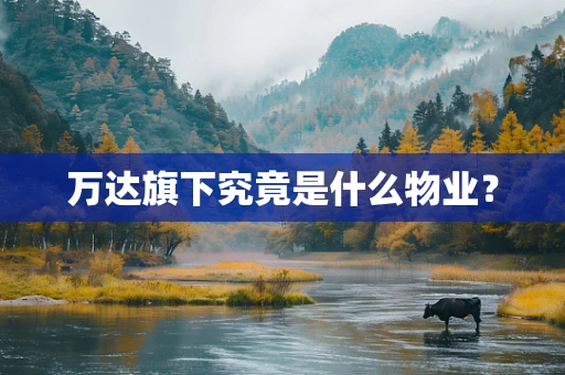 万达旗下究竟是什么物业？