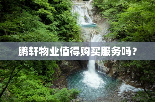 鹏轩物业值得购买服务吗？