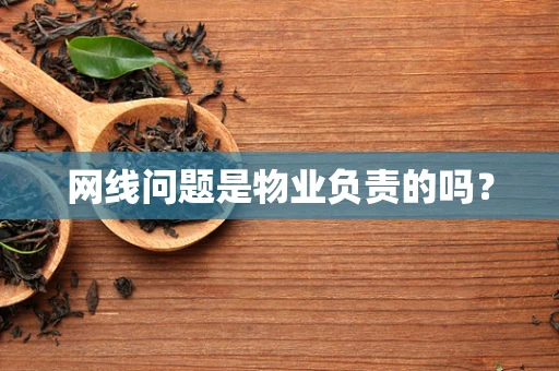 网线问题是物业负责的吗？