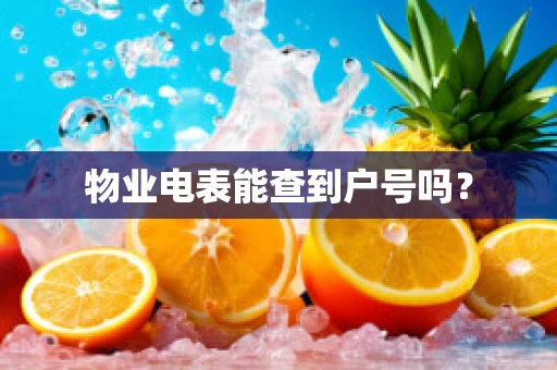 物业电表能查到户号吗？