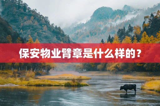 保安物业臂章是什么样的？