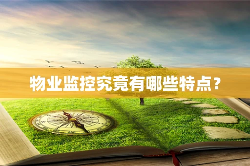 物业监控究竟有哪些特点？