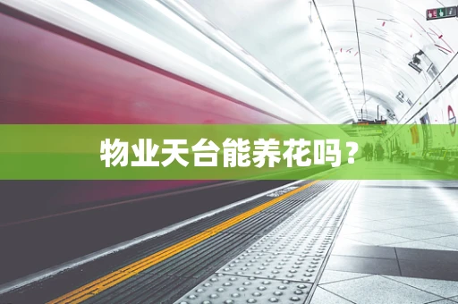 物业天台能养花吗？