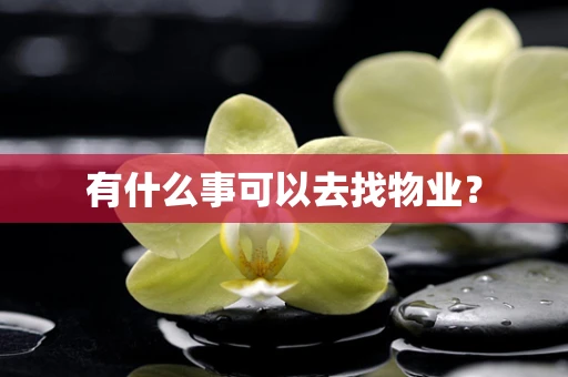 有什么事可以去找物业？