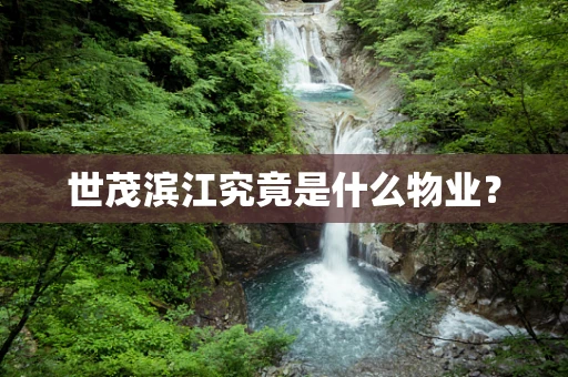 世茂滨江究竟是什么物业？