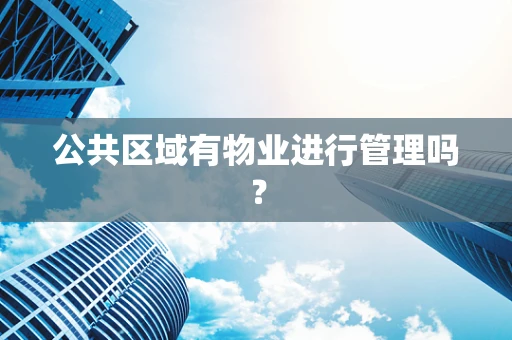公共区域有物业进行管理吗？