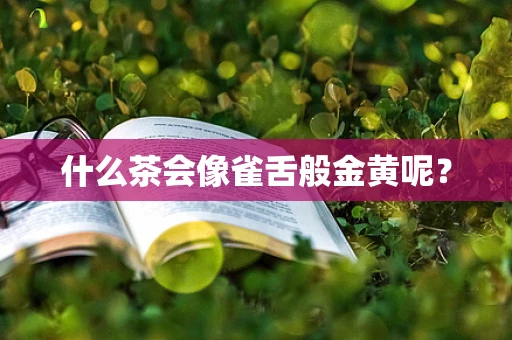 什么茶会像雀舌般金黄呢？