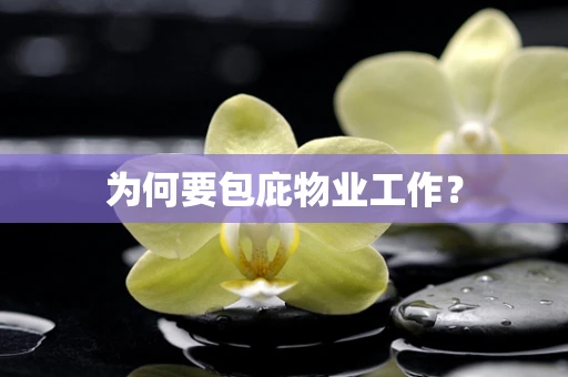 为何要包庇物业工作？