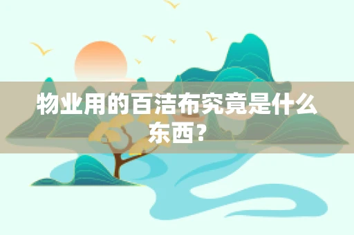 物业用的百洁布究竟是什么东西？