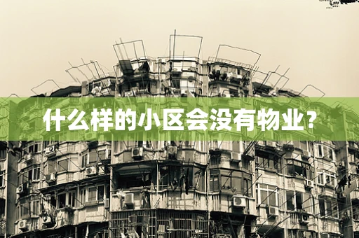 什么样的小区会没有物业？