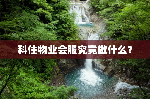 科住物业会服究竟做什么？
