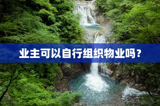 业主可以自行组织物业吗？