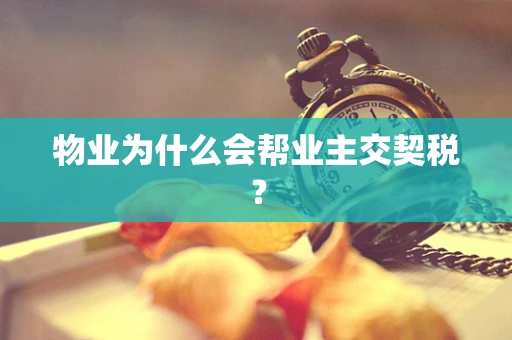 物业为什么会帮业主交契税？