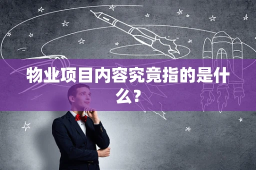 物业项目内容究竟指的是什么？