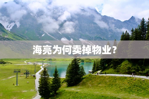 海亮为何卖掉物业？