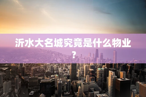 沂水大名城究竟是什么物业？
