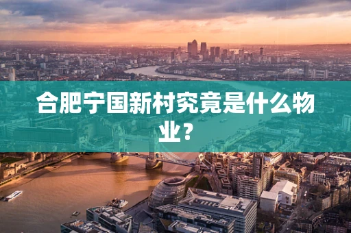 合肥宁国新村究竟是什么物业？