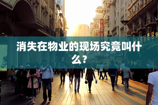 消失在物业的现场究竟叫什么？