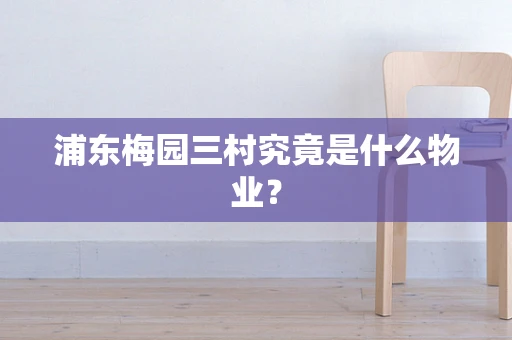浦东梅园三村究竟是什么物业？