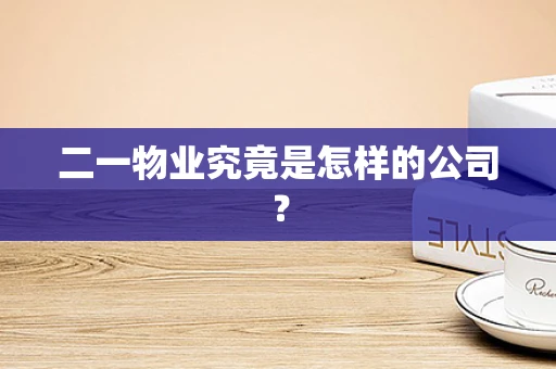 二一物业究竟是怎样的公司？