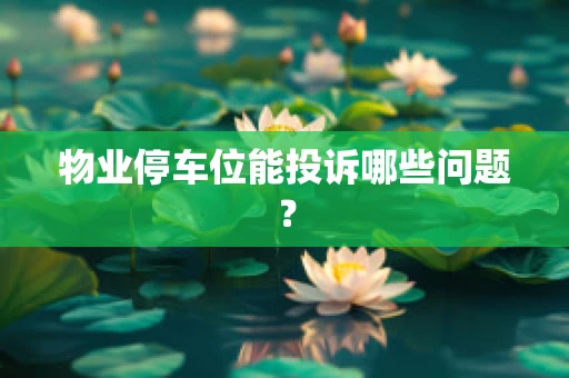 物业停车位能投诉哪些问题？