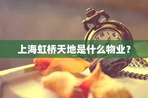 上海虹桥天地是什么物业？