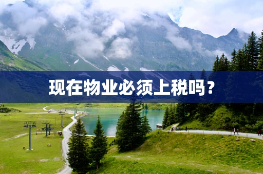 现在物业必须上税吗？