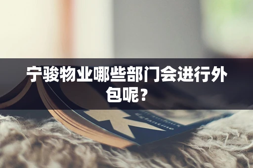 宁骏物业哪些部门会进行外包呢？
