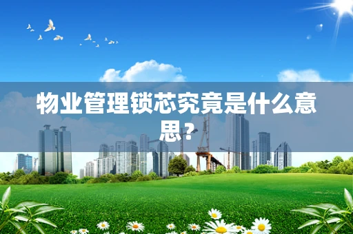 物业管理锁芯究竟是什么意思？