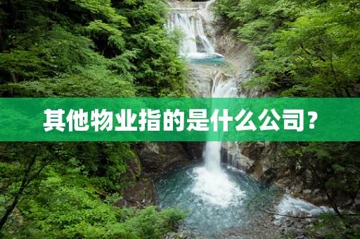 其他物业指的是什么公司？