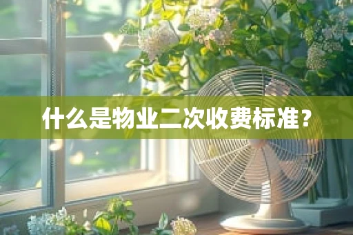 什么是物业二次收费标准？